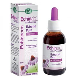 Echinaid alta potenza 