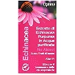 Estratto di Echinacea Purpurea in acqua purificata