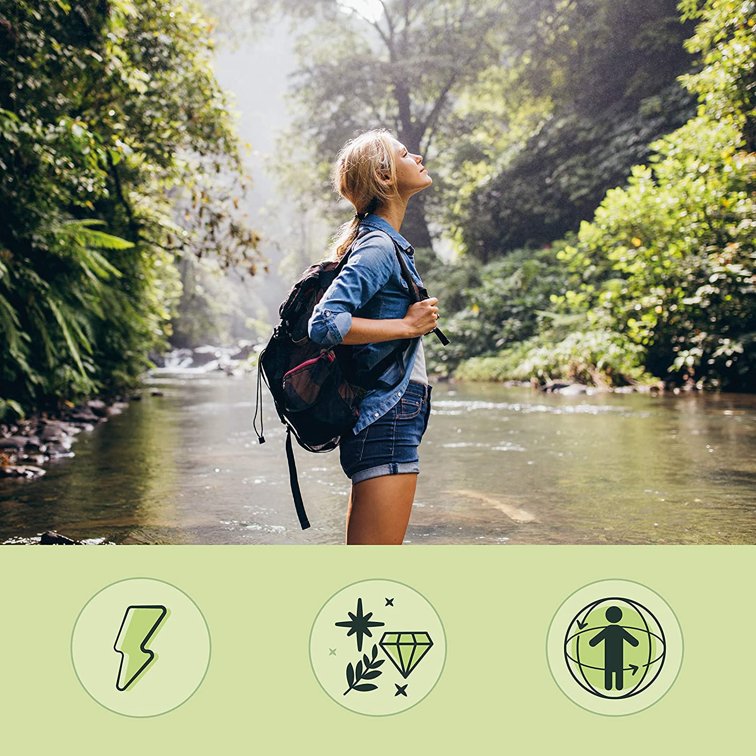 Bio Moringa Oleifera   immagine 4